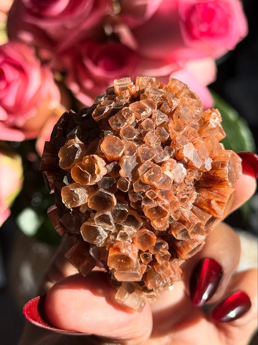 Aragonite Cluster, Raw Aragonite Cluster From Morocco, Aragonite, Fossils, Crystal Gifts