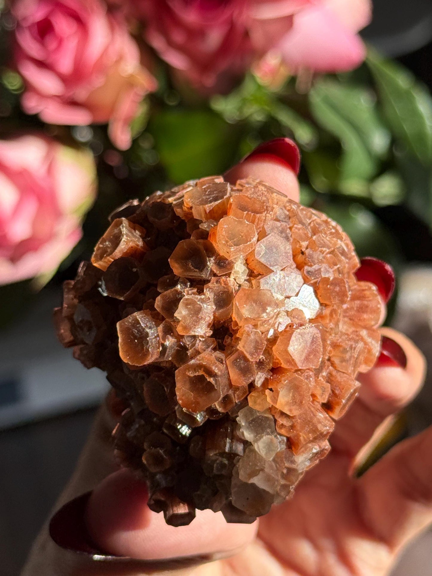 Aragonite Cluster, Raw Aragonite Cluster From Morocco, Aragonite, Fossils, Crystal Gifts