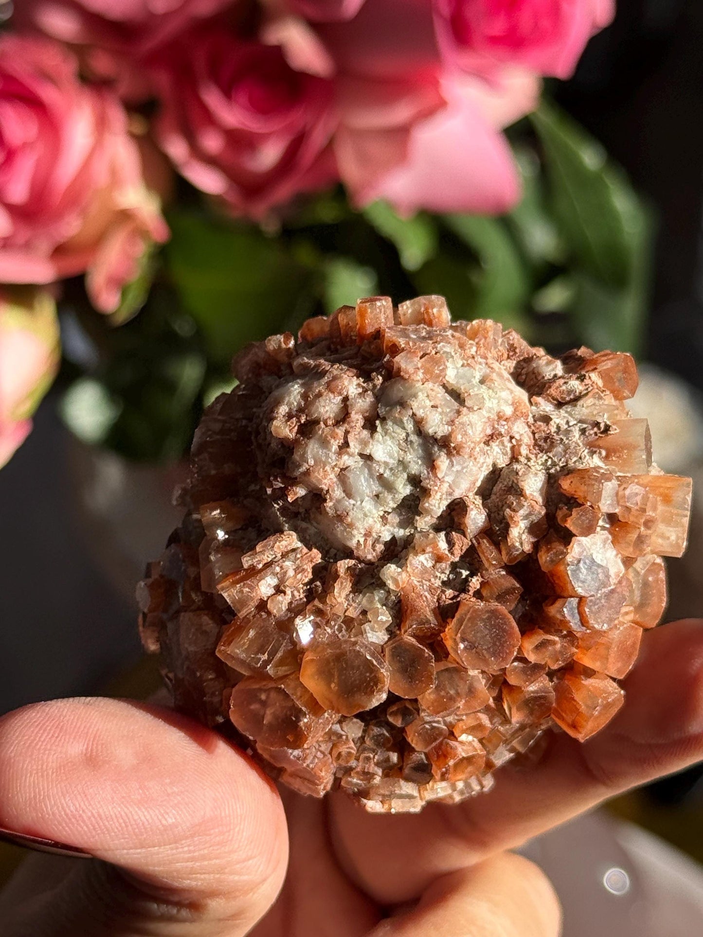 Aragonite Cluster, Raw Aragonite Cluster From Morocco, Aragonite, Fossils, Crystal Gifts