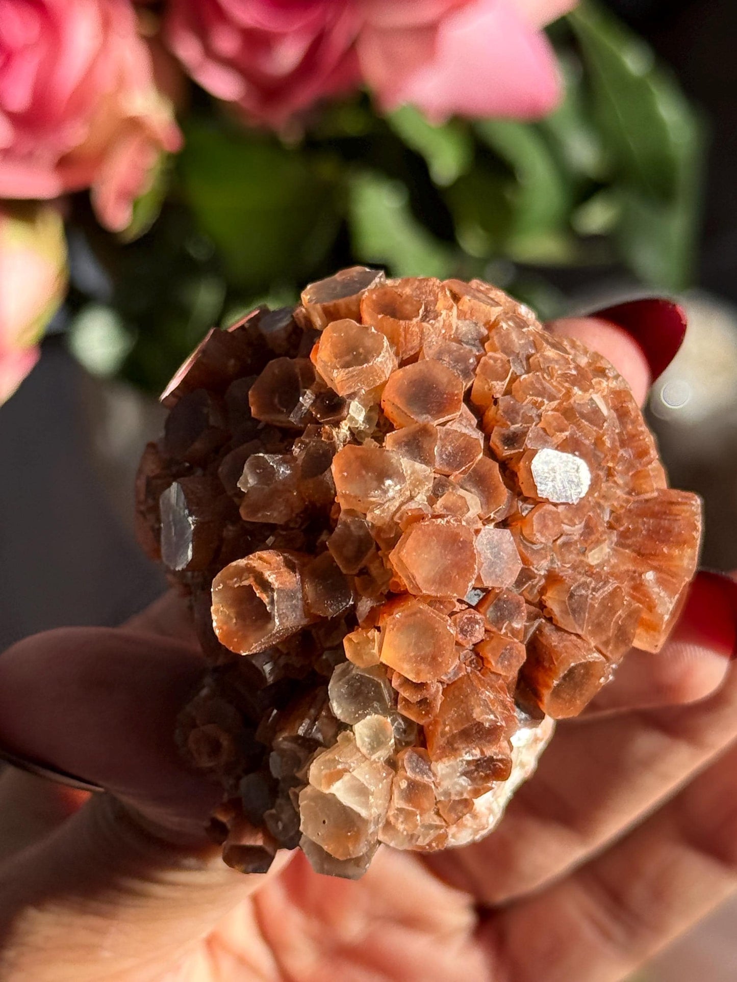 Aragonite Cluster, Raw Aragonite Cluster From Morocco, Aragonite, Fossils, Crystal Gifts