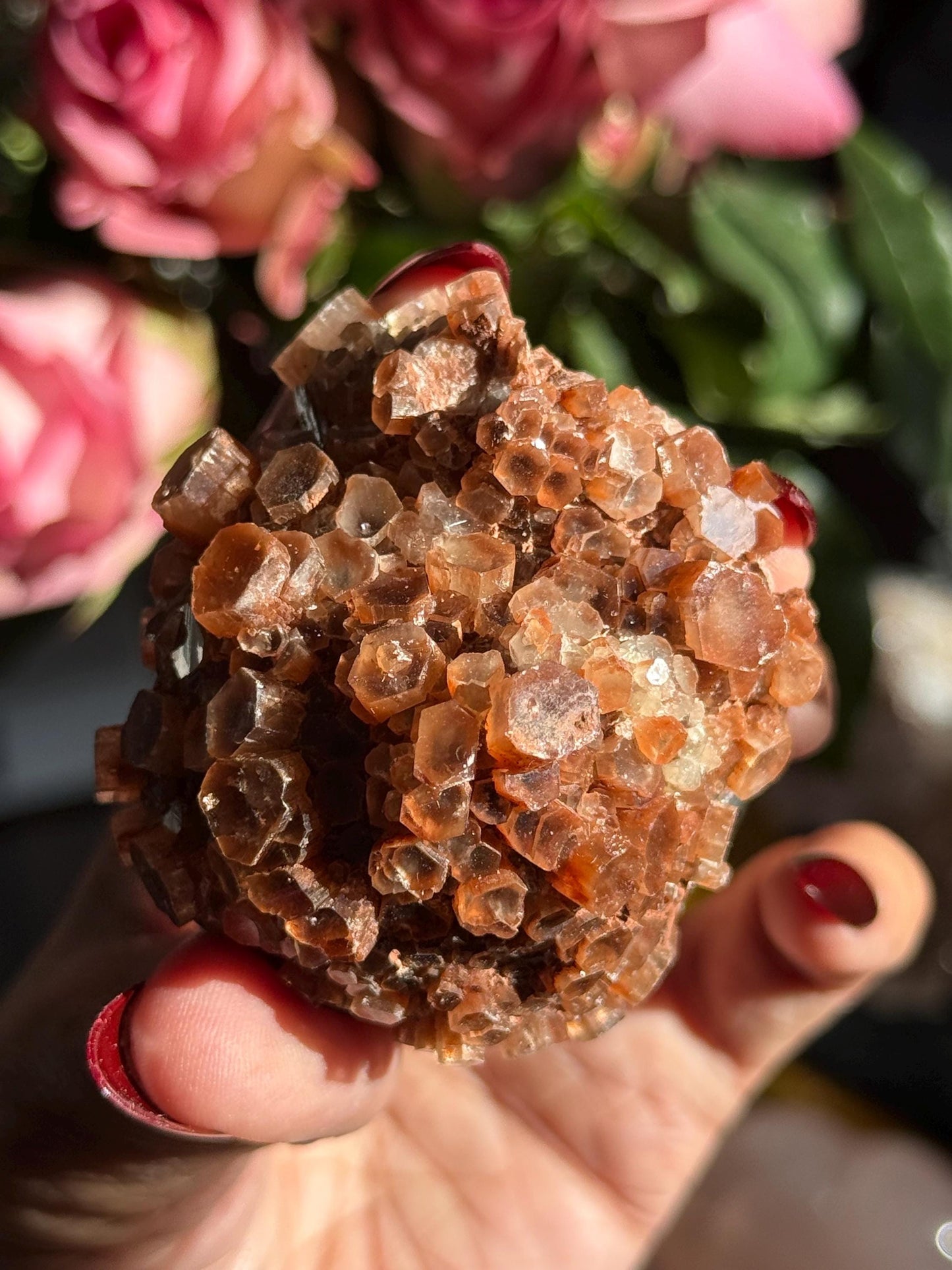 Aragonite Cluster, Raw Aragonite Cluster From Morocco, Aragonite, Fossils, Crystal Gifts