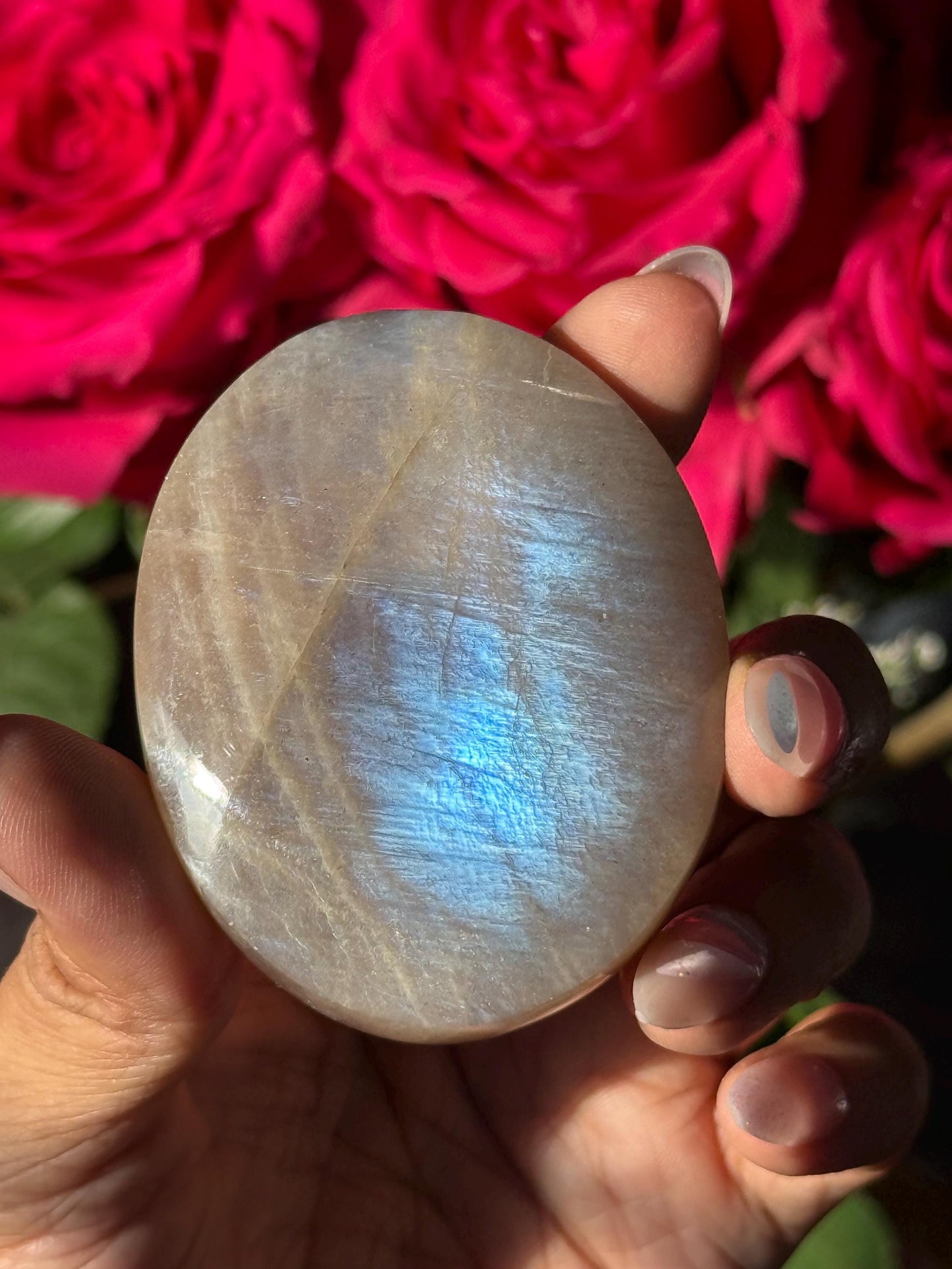 Super Flashy Blue Moonstone, Moonstone, Blue Flash Moonstone, High Grade Palm Stone