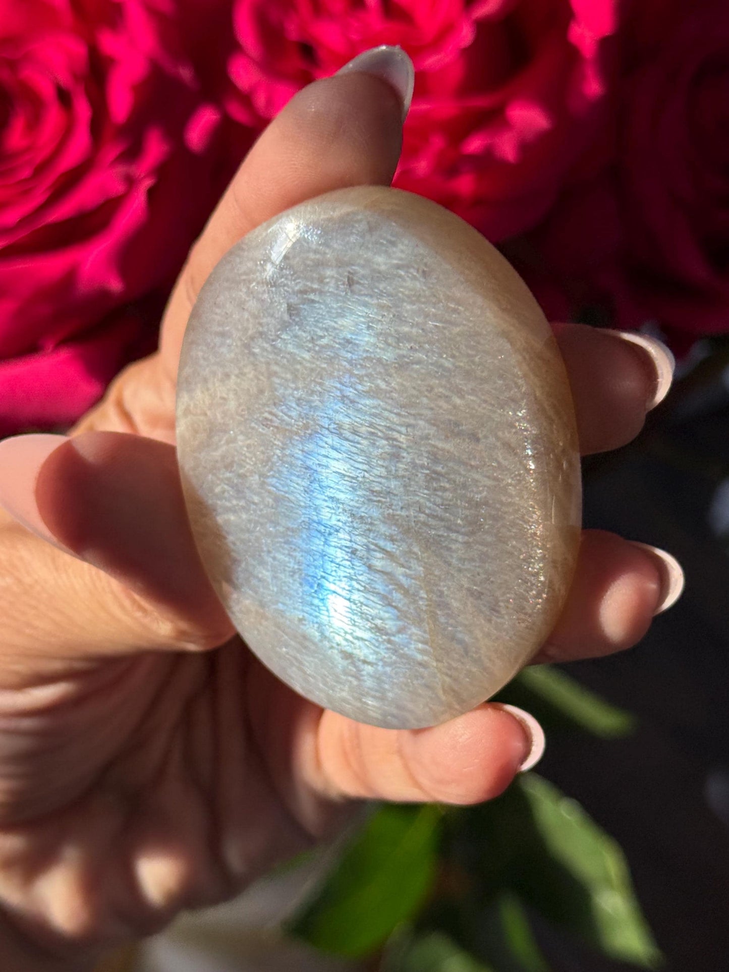 Super Flashy Blue Moonstone, Moonstone, Blue Flash Moonstone, High Grade Palm Stone