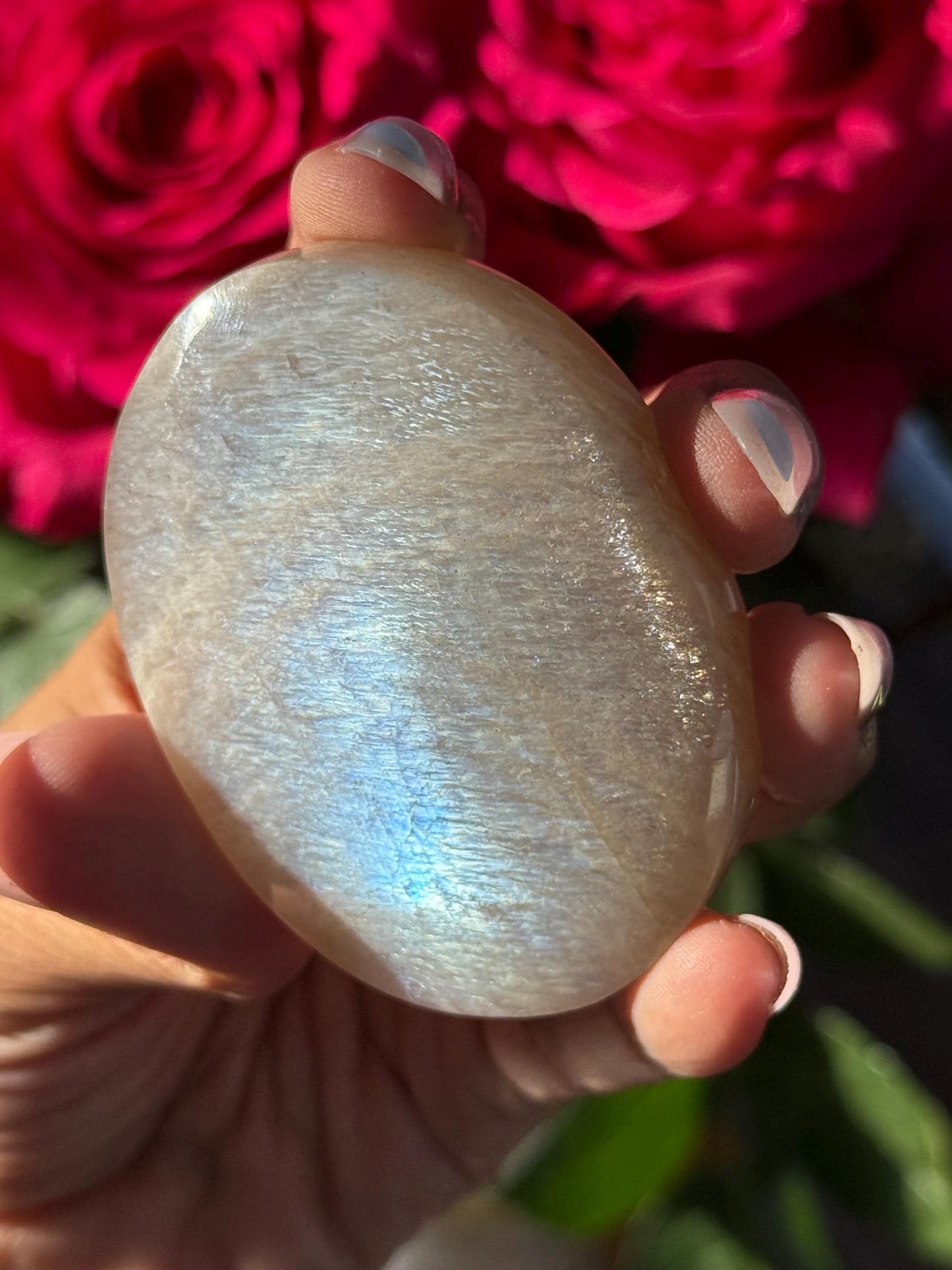 Super Flashy Blue Moonstone, Moonstone, Blue Flash Moonstone, High Grade Palm Stone