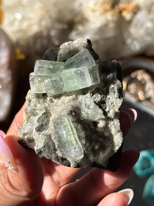 Green Apophyllite Cluster From India, Apophyllite, Zeolite Specimen, Small