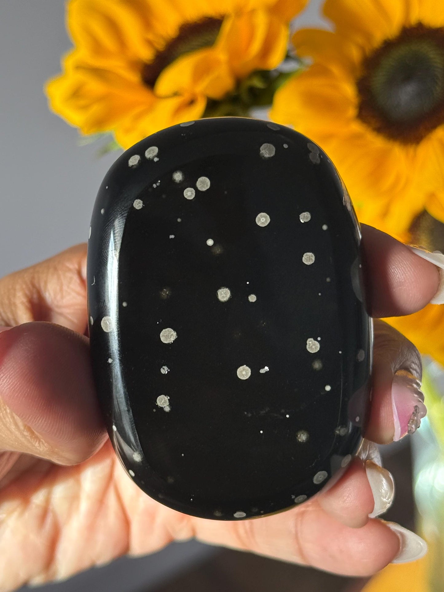 Stardust Obsidian Palm Stone – Rare Jalisco Obsidian, New Mexico Find, Matte Star-Dusted Pattern, Unique Mexican Obsidian