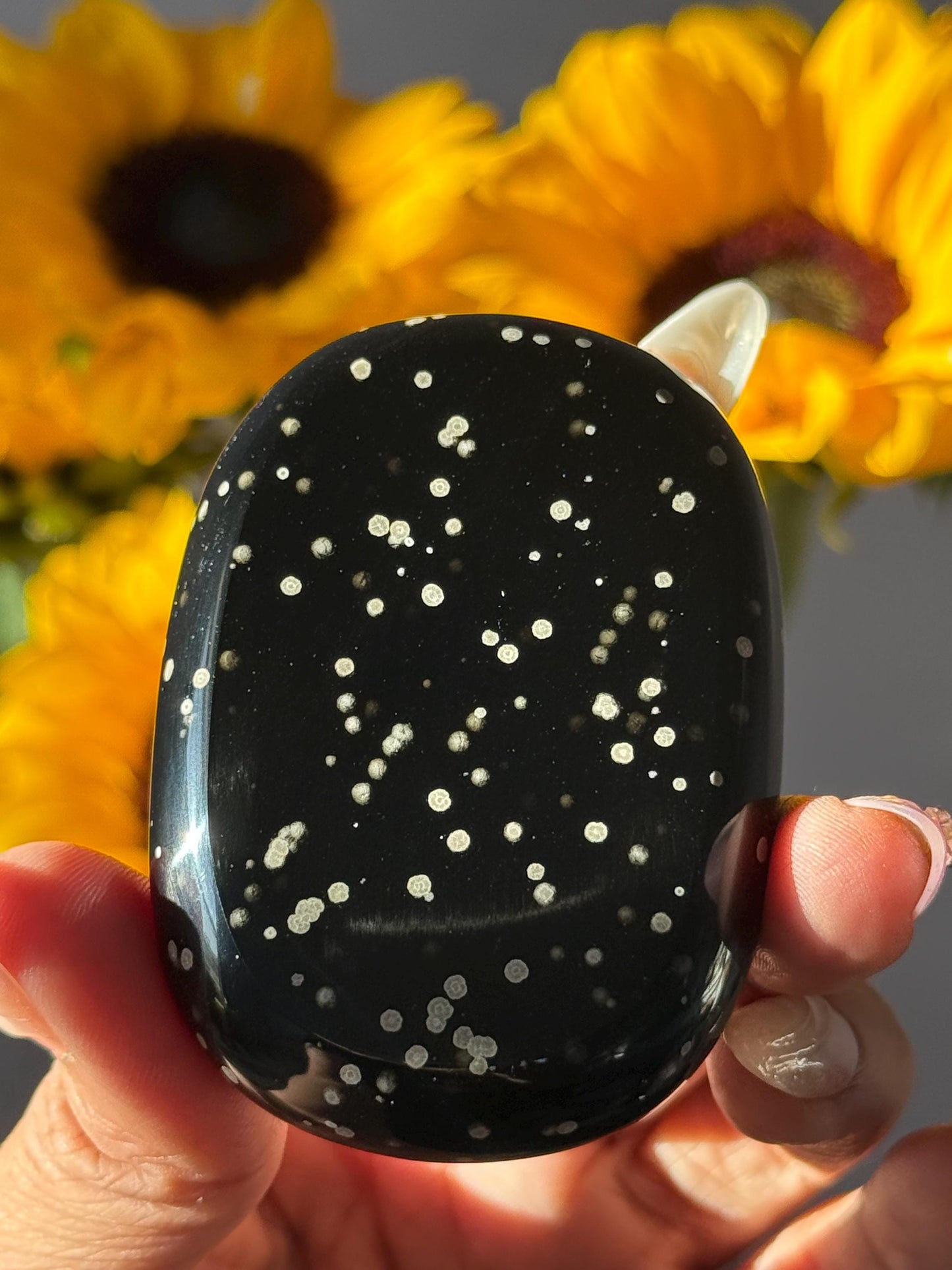 Stardust Obsidian Palmstone, Rare Obsidian From Jalisco Mexico,