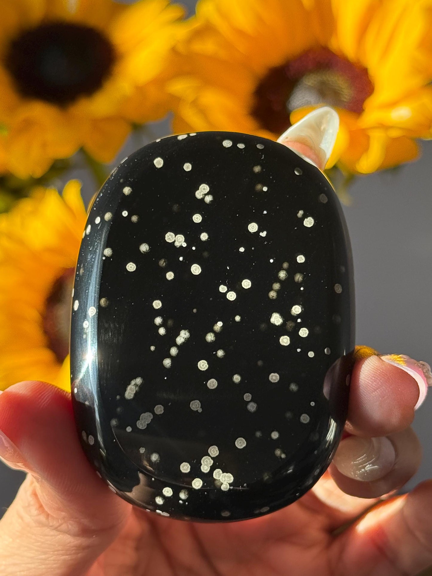 Stardust Obsidian Palmstone, Rare Obsidian From Jalisco Mexico,