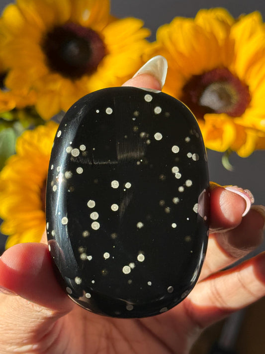 Stardust Obsidian Palm Stone – Rare Mexico Obsidian, Star-Dusted Pattern, Unique Mexican Obsidian