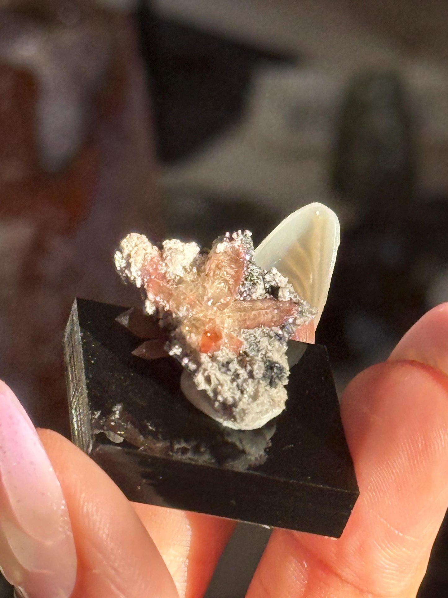 Topaz on Matrix From Mexico, Natural Topaz from San Luis Potosí, MX, Raw Mineral Specimen