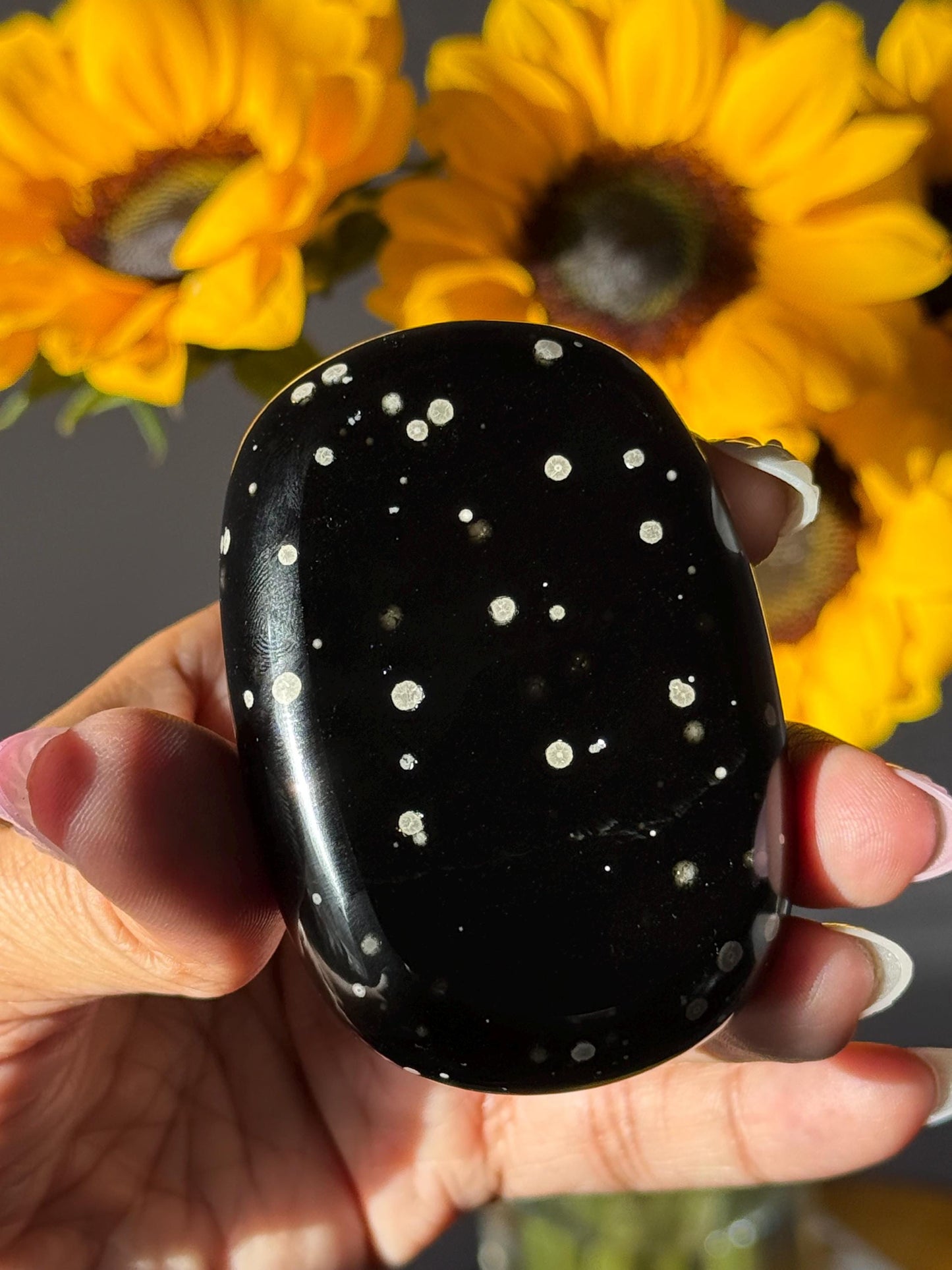 Stardust Obsidian Palm Stone – Rare Jalisco Obsidian, New Mexico Find, Matte Star-Dusted Pattern, Unique Mexican Obsidian