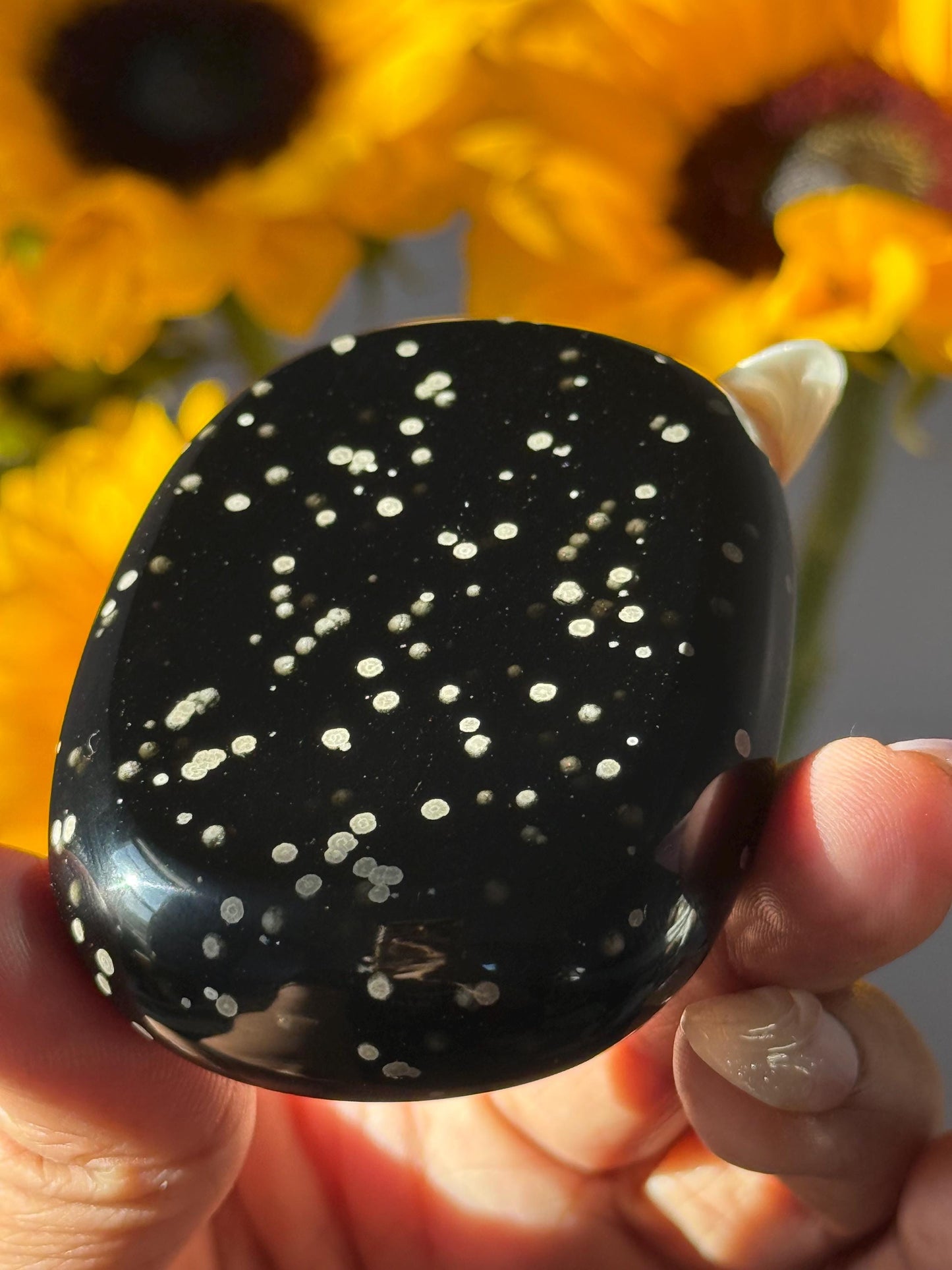 Stardust Obsidian Palmstone, Rare Obsidian From Jalisco Mexico,