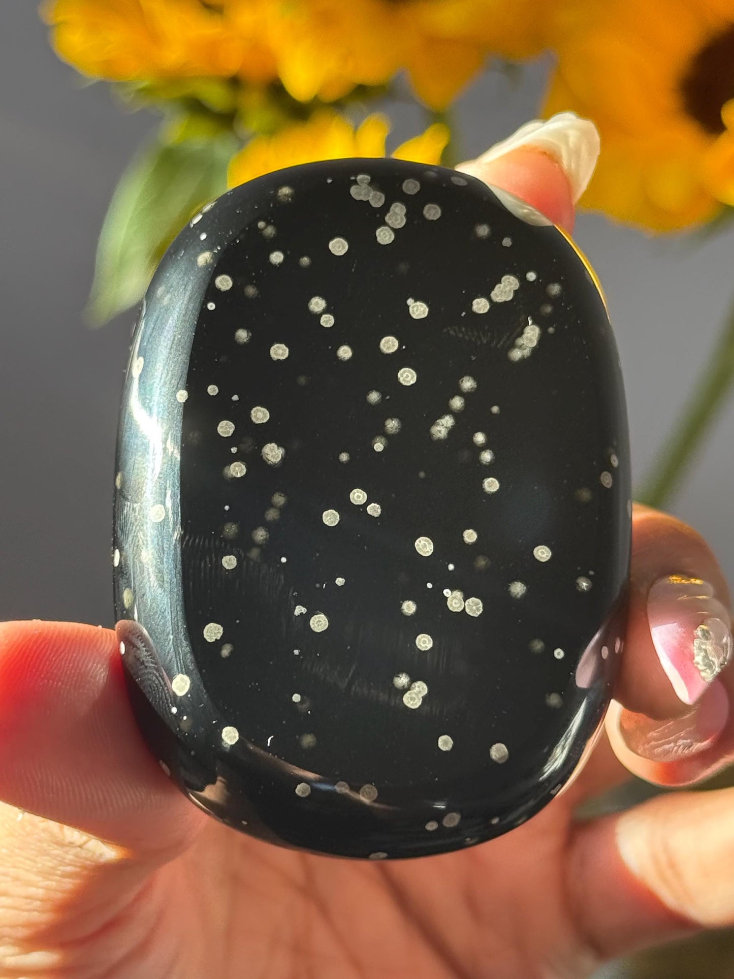 Stardust Obsidian Palmstone, Rare Obsidian From Jalisco Mexico,