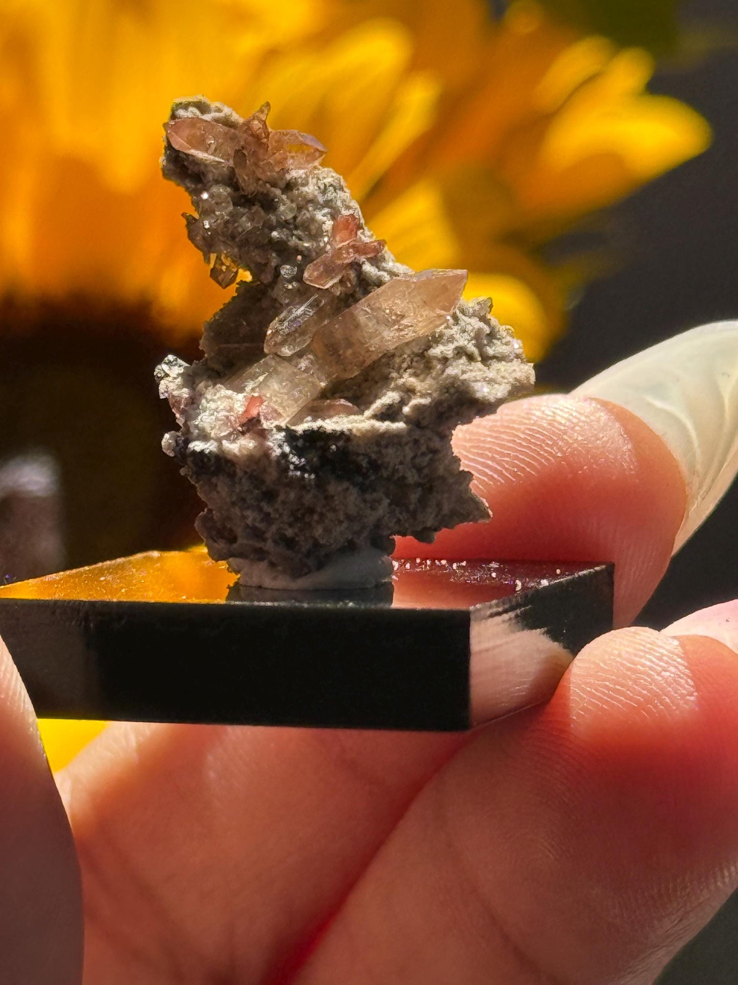 Topaz on Matrix From Mexico, Natural Topaz from San Luis Potosí, MX, Raw Mineral Specimen