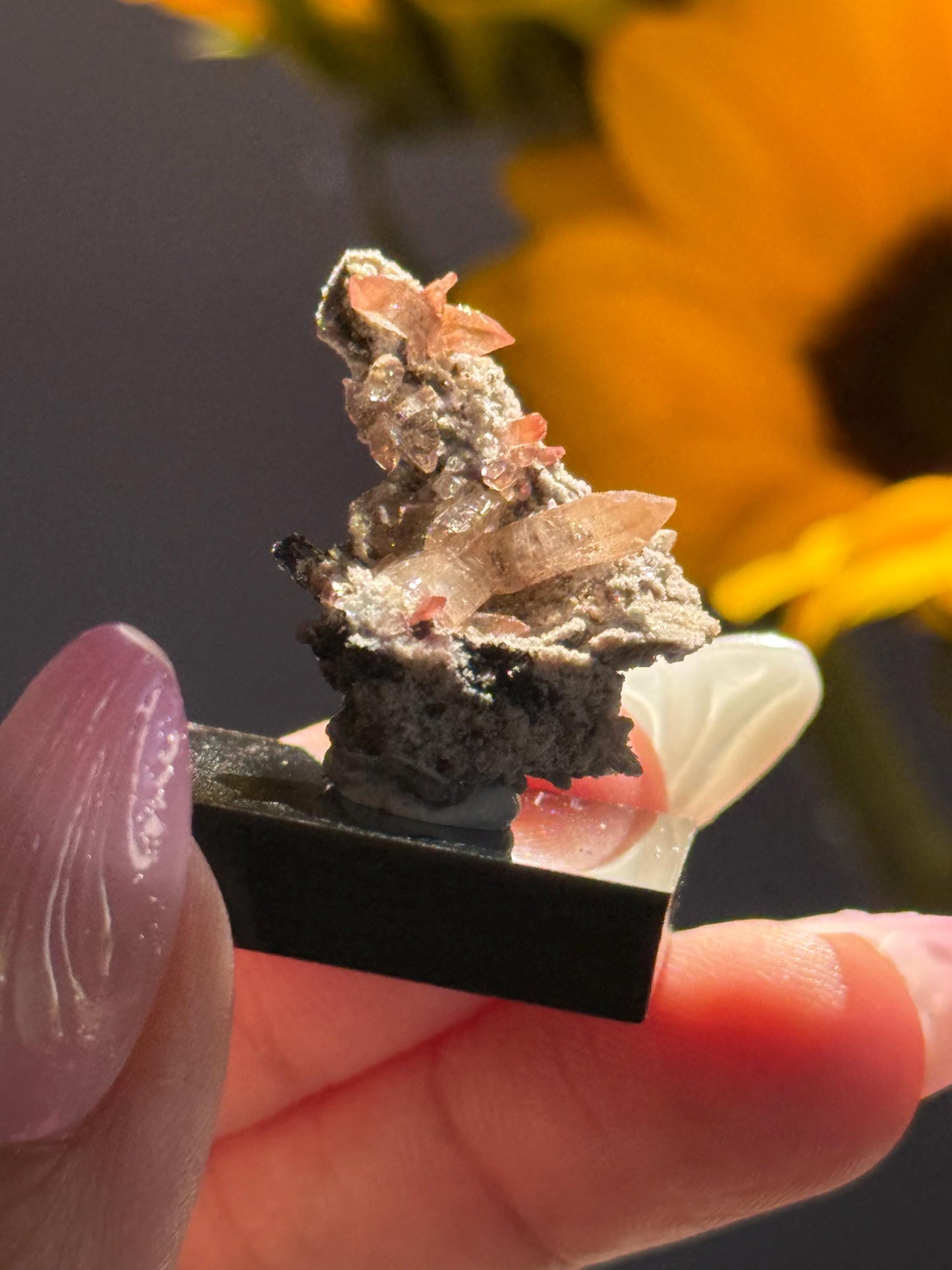 Topaz on Matrix From Mexico, Natural Topaz from San Luis Potosí, MX, Raw Mineral Specimen