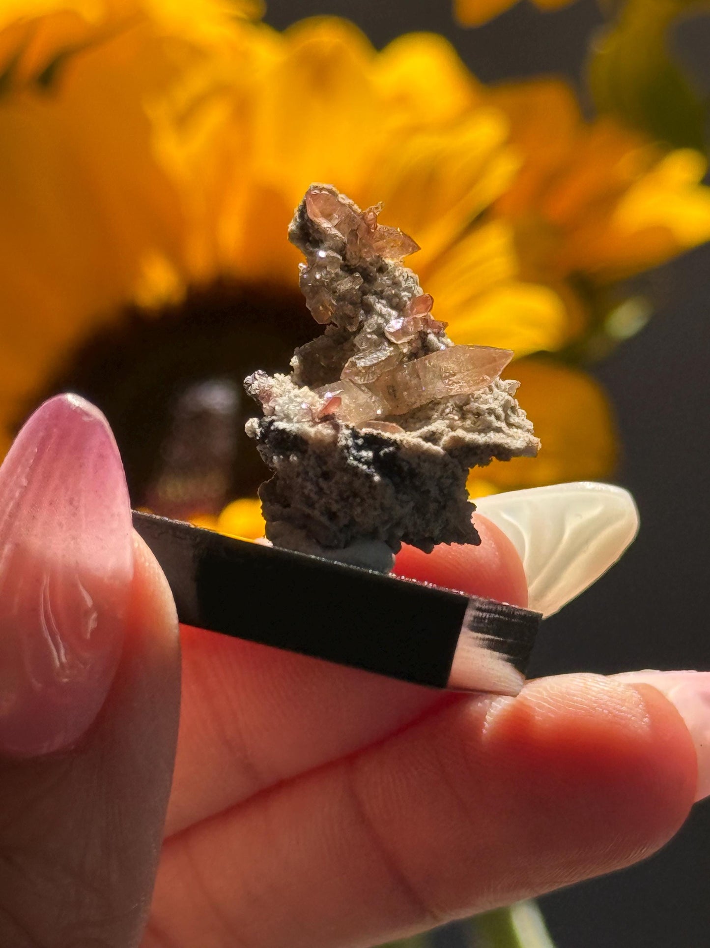 Topaz on Matrix From Mexico, Natural Topaz from San Luis Potosí, MX, Raw Mineral Specimen