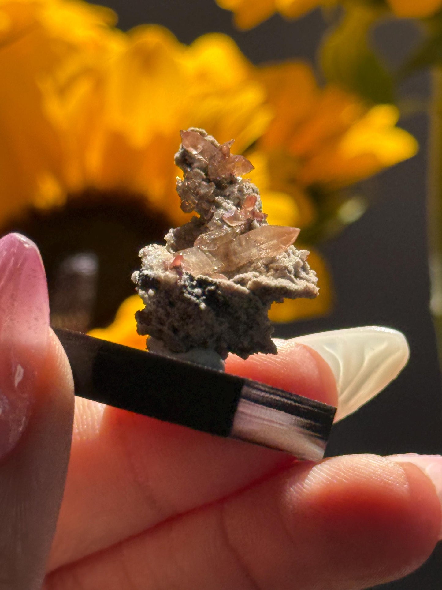 Topaz on Matrix From Mexico, Natural Topaz from San Luis Potosí, MX, Raw Mineral Specimen