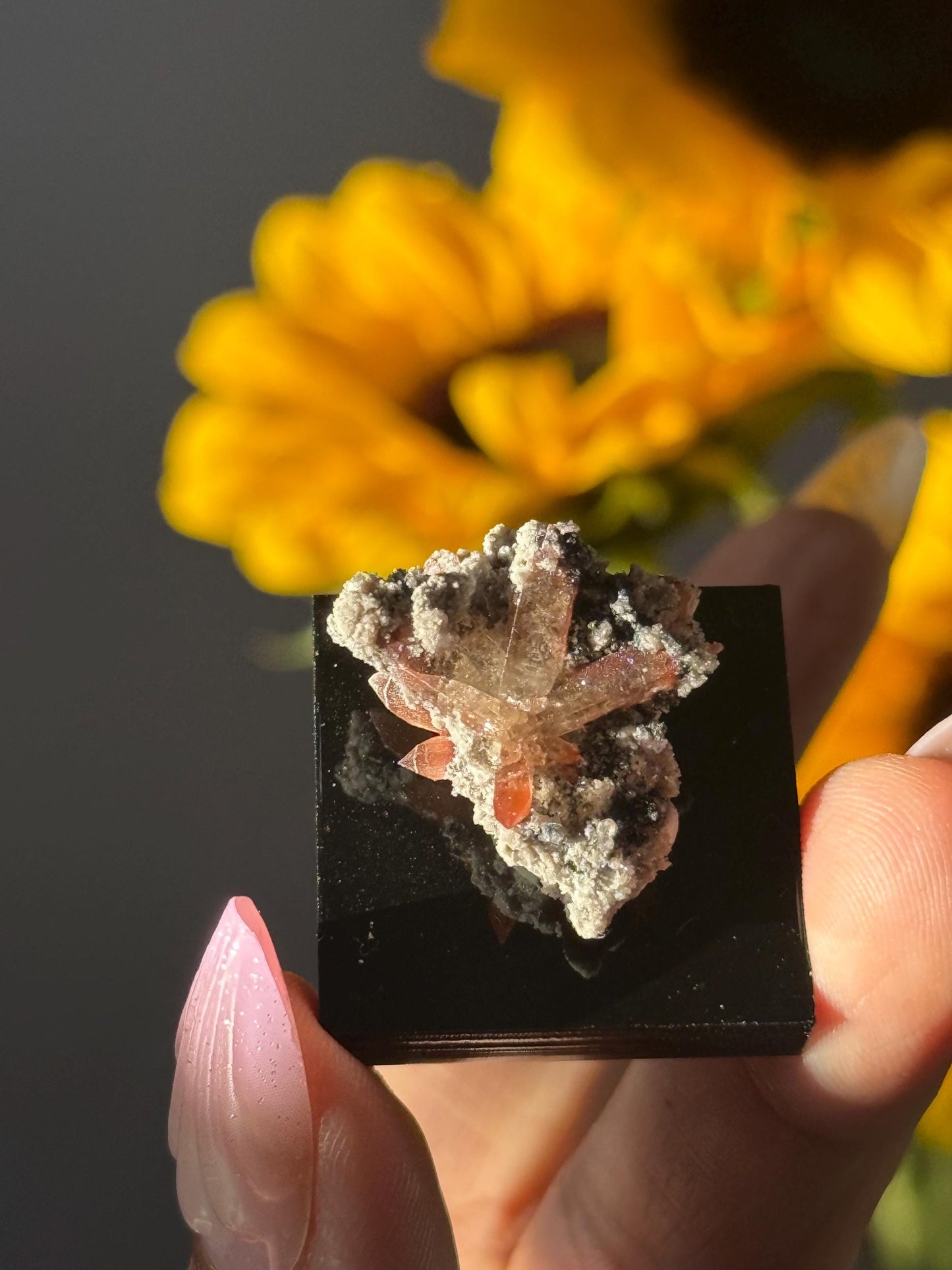 Topaz on Matrix From Mexico, Natural Topaz from San Luis Potosí, MX, Raw Mineral Specimen