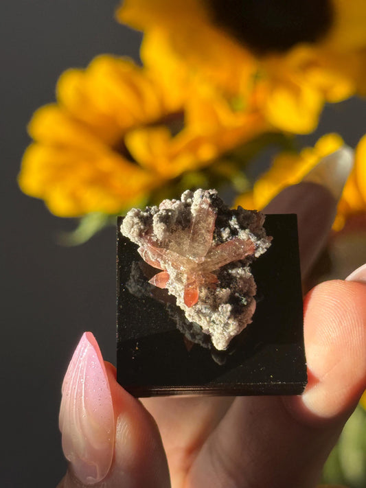 Topaz on Matrix From Mexico, Natural Topaz from San Luis Potosí, MX, Raw Mineral Specimen